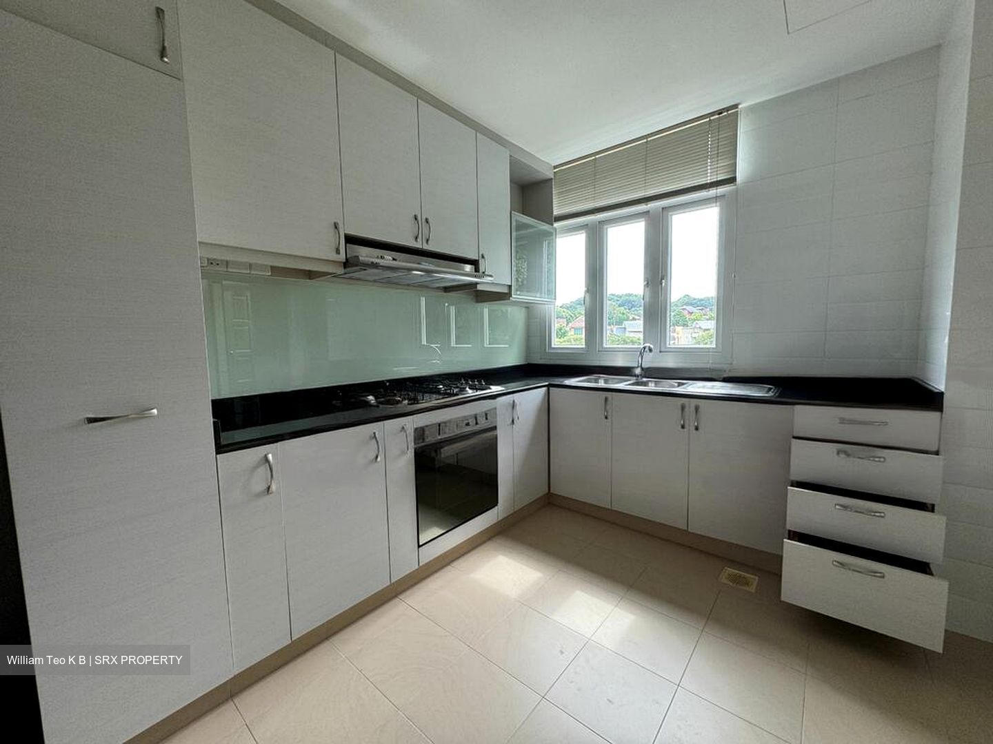 La Suisse (D11), Condominium #438412331